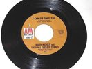 ROGER NICHOLS & SMALL CIRCLE OF FRIENDS 45 DON'T TAKE YOUR TIME/I CAN SEE ONLY U
