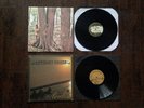 Anthony Green-Avalon & Beautiful Things Vinyl Rare Juturna Circa Survive
