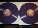 Dolp The Bevis Frond-live Network Festival 2011,farbiges Lila Vinyl,Mint