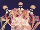 THE NICE - Ars Longa Vita Brevis Lp