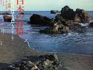 MINORU MURAOKA / Syakuhachi ha utau 3 JAPAN ONLY Bamboo Flute Meets Latin Rhythm