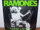 RAMONES - LP - TEENAGE LOBOTOMY - DEMOS + RARITIES - VINYL