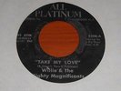 NORTHERN SOUL 45-WILLIE&THE MIGHTY MAGNIFICENTS-CHECK IT BABY-- LISTEN