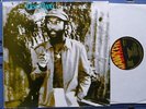 DESI ROOTS-DOING IT RIGHT ORIG UK HAWKEYE ROOTS LP WEEDFIELDS EX/EX