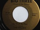 MAJOR'S MAJORS-LOST IN A CITY /SAY YOU'LL BE MINE-NORTHERN SOUL 45 on BIG THREE