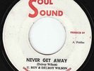 U-Roy & Delroy Wilson - Never Get Away - SKIN THRILLER