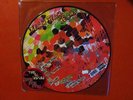 The Yeah, Yeah, Yeahs Fever to Tell Picture Vinyl