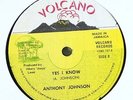 Anthony Johnson/Horace Martin 