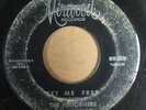 THE PERFORMERS   SET ME FREE   HEAR  RARE NORTHERN SOUL ON MIRWOOD 45