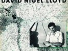 DAVID NIGEL LLOYD Dark Ages LP Original Green Label w/ Insert NM- RARE