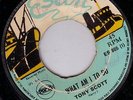 TONY SCOTT/SKINHEAD REGGAE/ESCORT 45/WHAT AM I TO DO - BRING BACK THAT SMILE