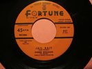 Andre Williams (Mr. Rhythm) 45rpm Near Mint