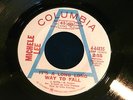 MICHELE LEE IT'S A LONG WAY TO FALL  RARE PROMO N.M    NORTHERN SOUL 45