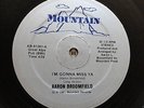 AARON BROOMFIELD I'M GONNA MISS YA ORIG. 12