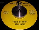 THE HAUNTED Come on home/Out of time garage soul r&b RARE Quebec Canada HEAR