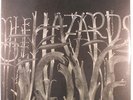 DECEMBERISTS: Hazards Of Love LP (2 LPs) Rock & Pop