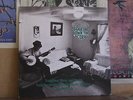 SHAKING DOWN THE ACORNS - WEST VIRGINIA ROUNDER 0018 LP