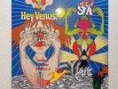 SUPER FURRY ANIMALS - HEY VENUS * LP VINYL MINT * FREE POSTAGE IN UK * 2000