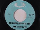 STING RAYS: I'm Gonna Surprise You / Lady Be Good 45 rare Soul