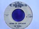 The Wurds Born In Chicago garage psych original US issue 45