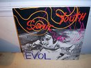 Sonic Youth Evol US LP SST Wilco Pearl Jam Cat Power