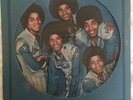 Jackson Five PROMO ONLY Vinyl THE JACKSONS Self Titled LP picture disc AL-34229