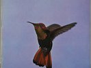 PAUL GONSALVES HUMMING BIRD ON DERAM UK ORIGINAL MINT-