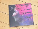 Steven Wilson - Hand. Cannot. Erase. / ltd LP Art Print+SIGNED BY STEVEN WILSON