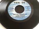 NORTHERN/ MODERN SOUL, JAMES NELSON - MELLOW, MELLOW ME ON TERI DE