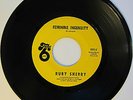 RUBY SHERRY: Feminine Ingenuity / Please Don't Go - Rare Soul on Take 6 M-