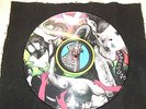 Yeah Yeah Yeahs Fever to Tell Picture Disc 33 RPM Vinyl LP