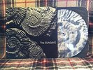 The SUNDAYS Reading Writing and Arithmetic PICTURE DISC Rough Trade