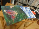CHARLIE no second chance UK Hardrock vinyl in Mint 1977