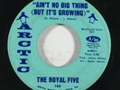 Northern Soul 45 ROYAL FIVE Ain't No Big Thing/Peace Of Mind on Arctic
