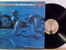 AIRTO Seeds on the Ground  Orig U.S.1971 Jazz Fusion Funk 12