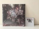 La dispute 'Wildlife' 2xLP *FIRST PRESS* Vinyl Record