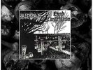 Dead Congregation/Hatespawn split 7