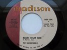 THE UNTOUCHABLES Raisin Sugar Cane RARE MOD NORTHERN SOUL R&B 45 PROMO NM