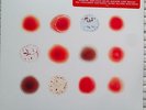 Peter Gabriel ?– Scratch My Back/And I'll Scratch Yours/PGLPUS1 SEALED 2LP 180g