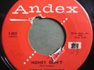 * TYRONE SCHMIDLING Honey Don’t/You're Gone I'm Left ROCKABILLY Andex 45 HEAR
