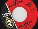 BOBBY ROBERTS & RAVONS-45-Dynamite early ’65 Chicago Garage-Punk