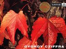 ASD 301 W/G UK - GRIEG & LISZT PIANO CONCERTOS - CZIFFRA - VANDERNOOT - NM