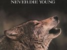 JAMES TAYLOR - NEVER DIE YOUNG NEW SEALED 180 GRAM AUDIOPHILE LP 2014