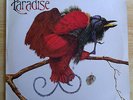 LP PARADISE same UK BOOGIE 1st LP on Ebony