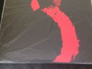Noel Gallagher's High Flying Birds The Dying of the Light (Demo) Press No 0805