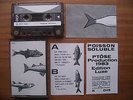 PTOSE  POISSON SOLUBLE minimal synth experimental residents renaldo and the loaf
