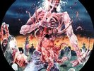 CANNIBAL CORPSE EATEN BACK TO LIFE LP Vinyl PICTURE DISC Album RECORD NEW