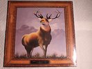 Killdozer ?– Twelve Point Buck US orig' SEALED Touch & Go LP 1989