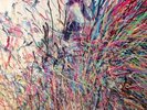 Flaming Lips / Time Has Come To Shoot You Down/ RSD / OOP / Mint / 500 Worldwide