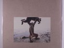 SHELLAC: Dude Incredible LP (180 gram pressing, w/ cd) Rock & Pop